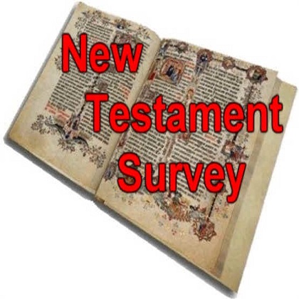 New Testament Survey I – (Dimensions) | Online Bible Institute