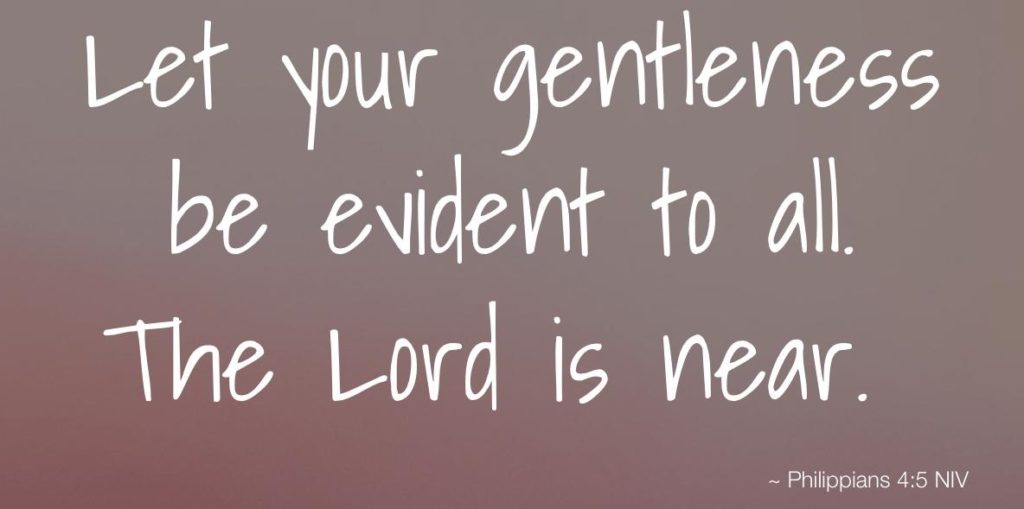 Bible Institute - Gentleness