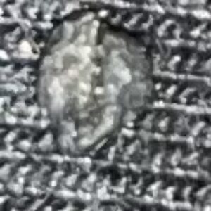 Profile photo of Senethra