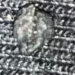 Profile photo of Senethra
