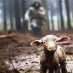 Profile photo of Jeremy Rockstroh